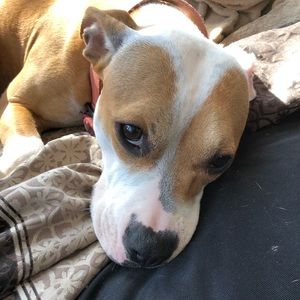 Meet your Posher, Angela